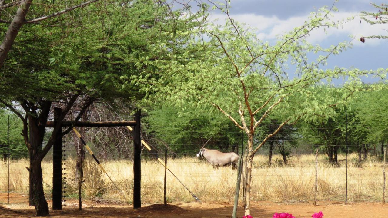 Lion's Den Guesthouse Otjiwarongo Extérieur photo