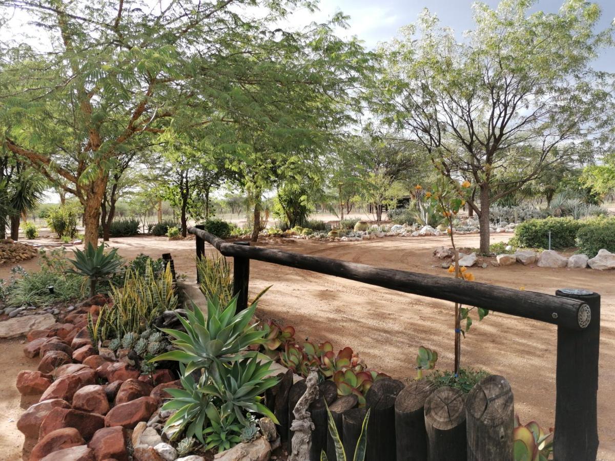 Lion's Den Guesthouse Otjiwarongo Extérieur photo