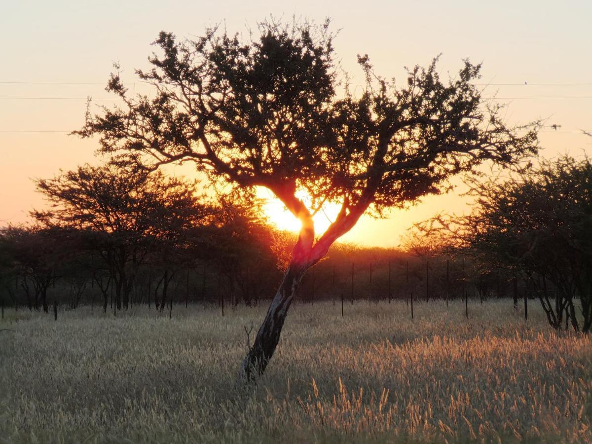 Lion's Den Guesthouse Otjiwarongo Extérieur photo