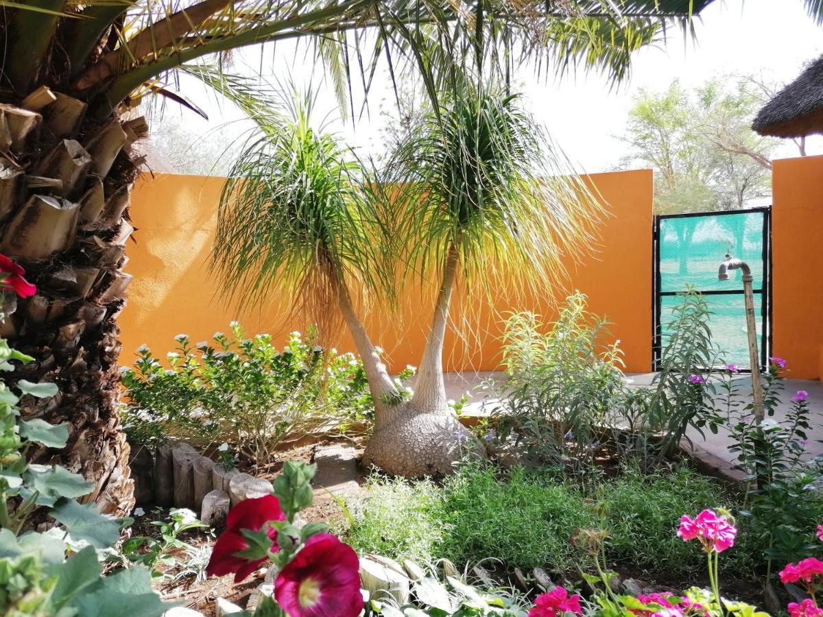 Lion's Den Guesthouse Otjiwarongo Extérieur photo