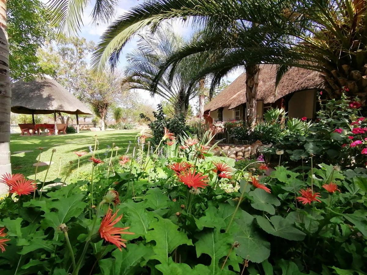 Lion's Den Guesthouse Otjiwarongo Extérieur photo