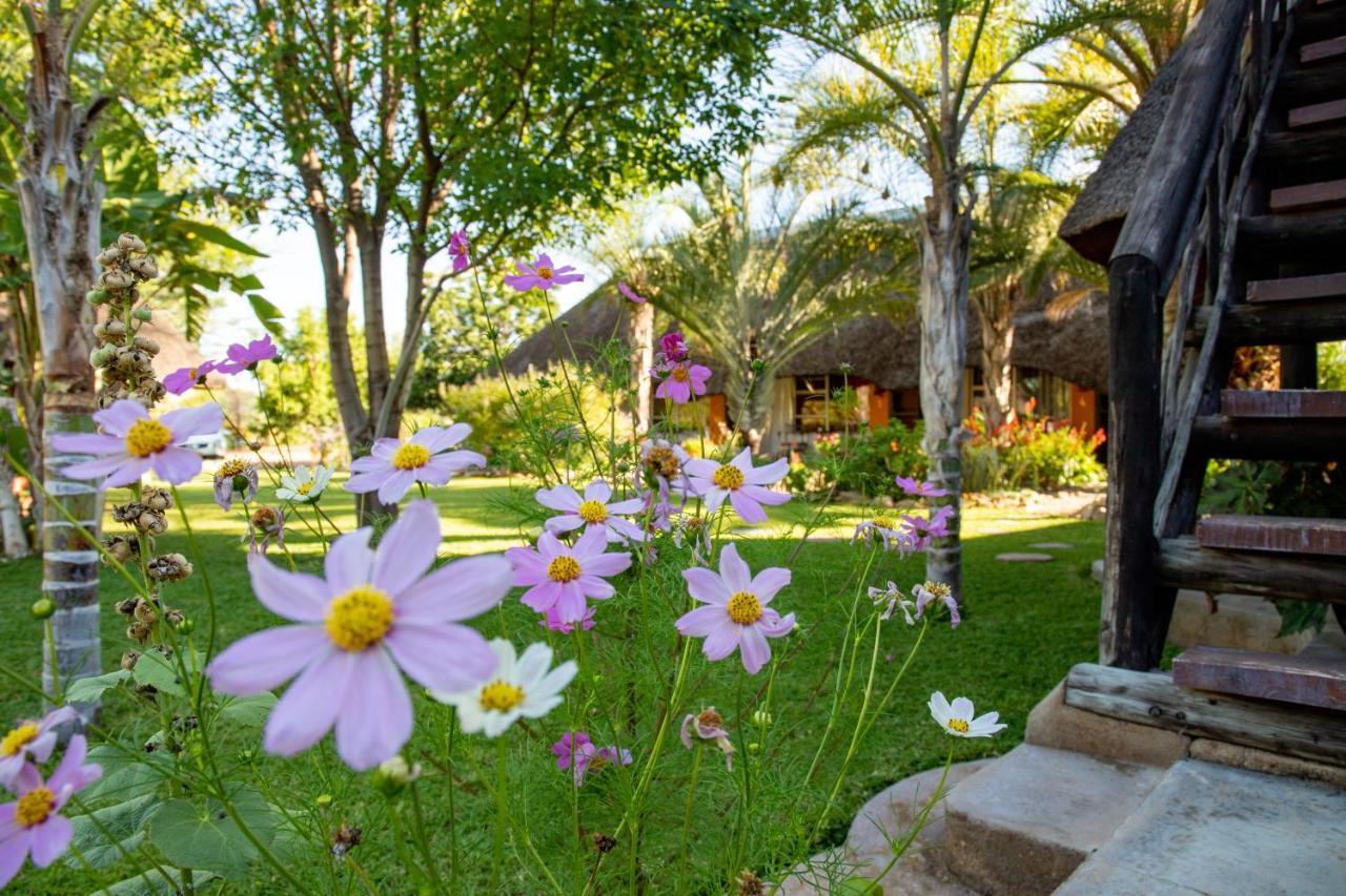 Lion's Den Guesthouse Otjiwarongo Extérieur photo